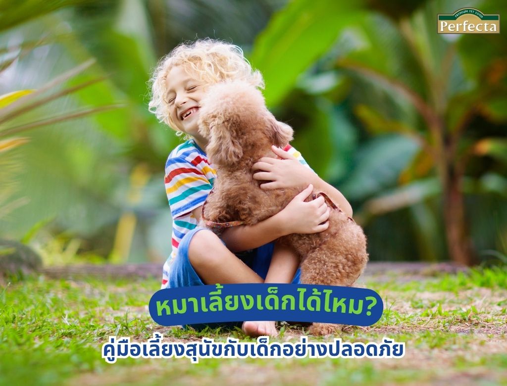 หมาเลี้ยงเด็กได้ไหม? คู่มือเลี้ยงสุนัขกับเด็กอย่างปลอดภัย